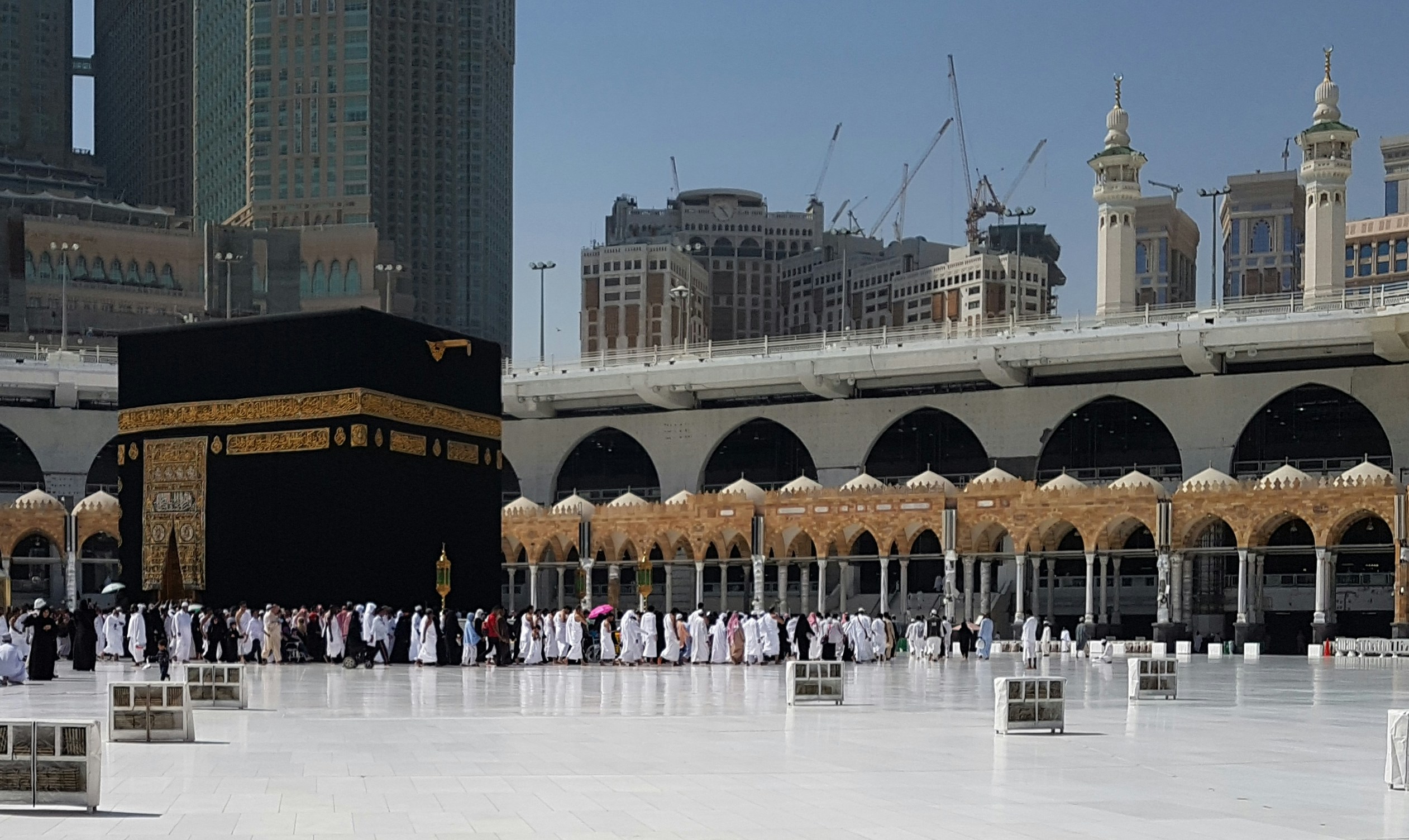 حملة الرواد للعمرة والزيارة